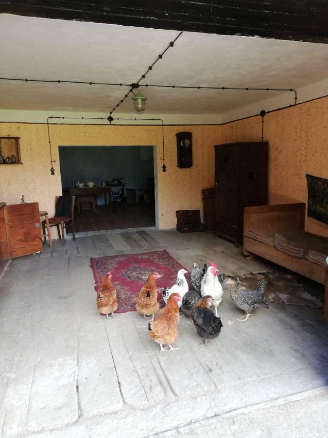 Pałac ławica Gospodarstwo agroturystyczne